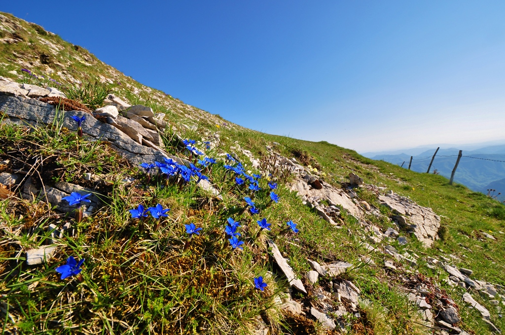 Trekking, Girls dan Bira Mount Cariage – Ecobnb