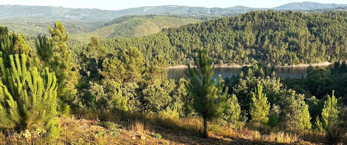 Hidup Berkelanjutan di Jantung Hijau Portugal