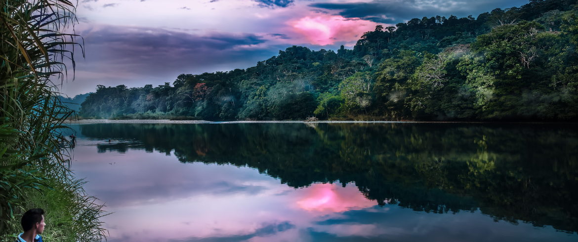 Amazon: 3 hal yang (mungkin) belum Anda ketahui tentang paru-paru hijau dunia